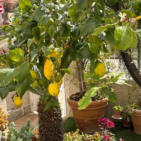 Da Nuccia Villasimius