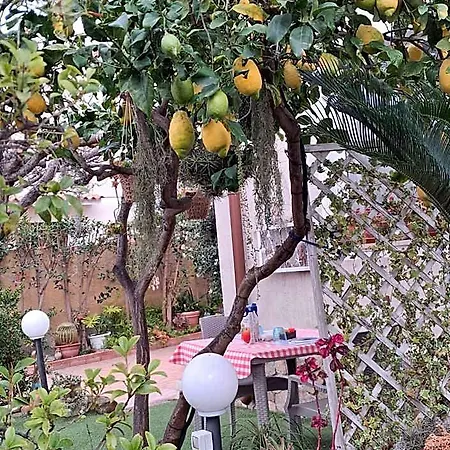Da Nuccia לינה וארוחת בוקר 3*